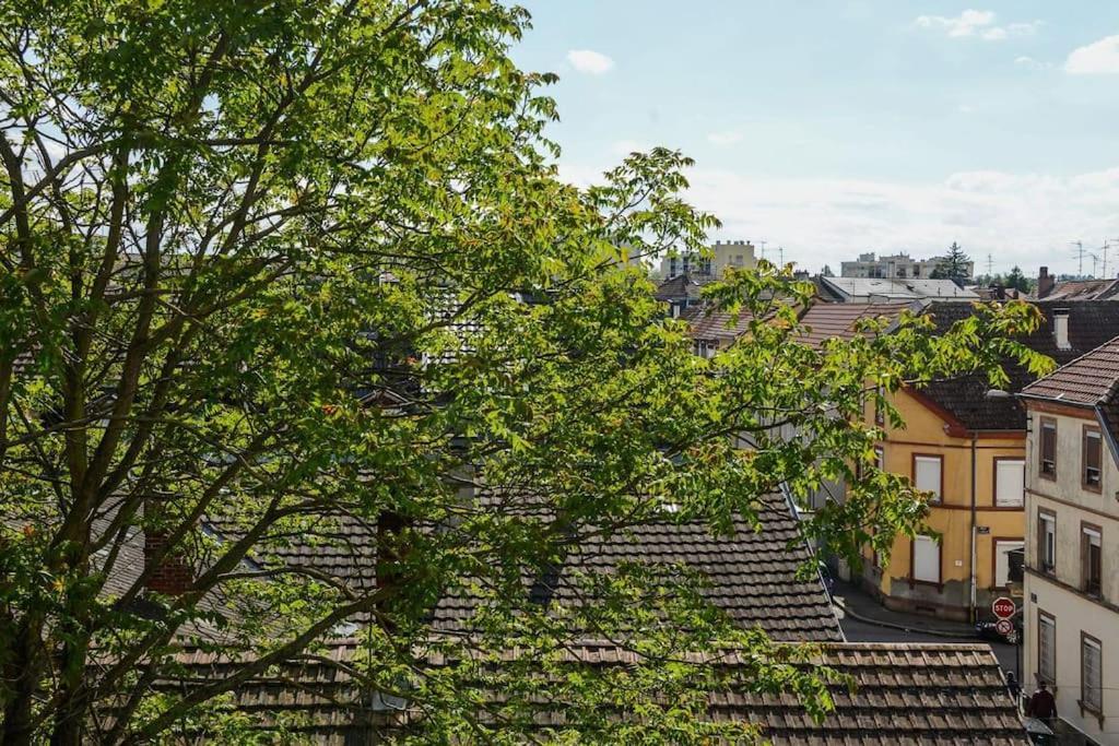 Appartement Charmant Tres Proche Centre-Ville, Parking Gratuits, Mulhouse Centre Luaran gambar